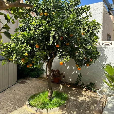 Holiday home Large Private Pool And Garden Near *
